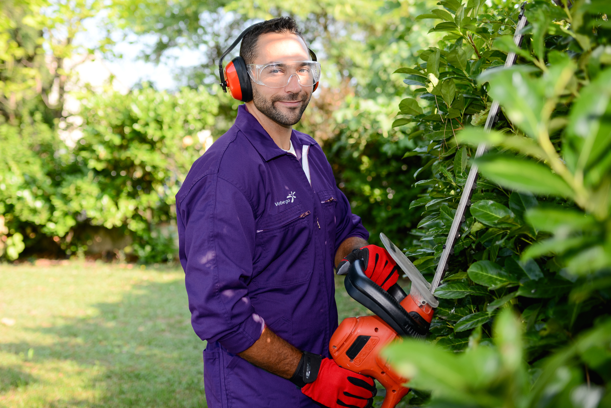 Gärtner Hecke 01 Purple Small