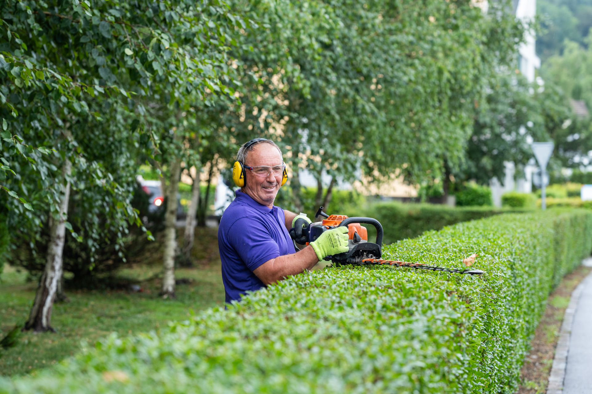 Gärtner, der eine Hecke schneidet